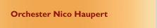 Nico Haupert One-Man-Orchester